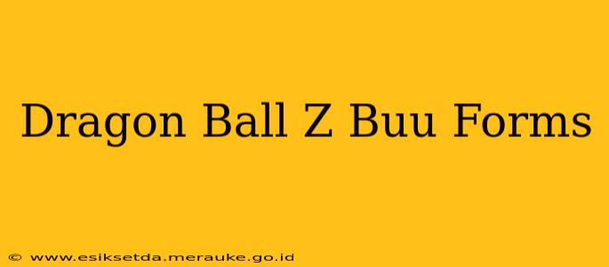 Dragon Ball Z Buu Forms
