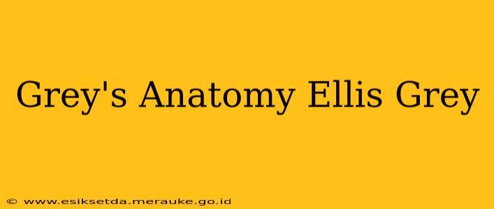 Grey's Anatomy Ellis Grey
