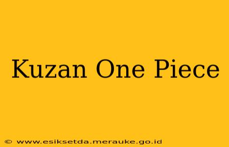 Kuzan One Piece