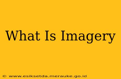 What Is Imagery